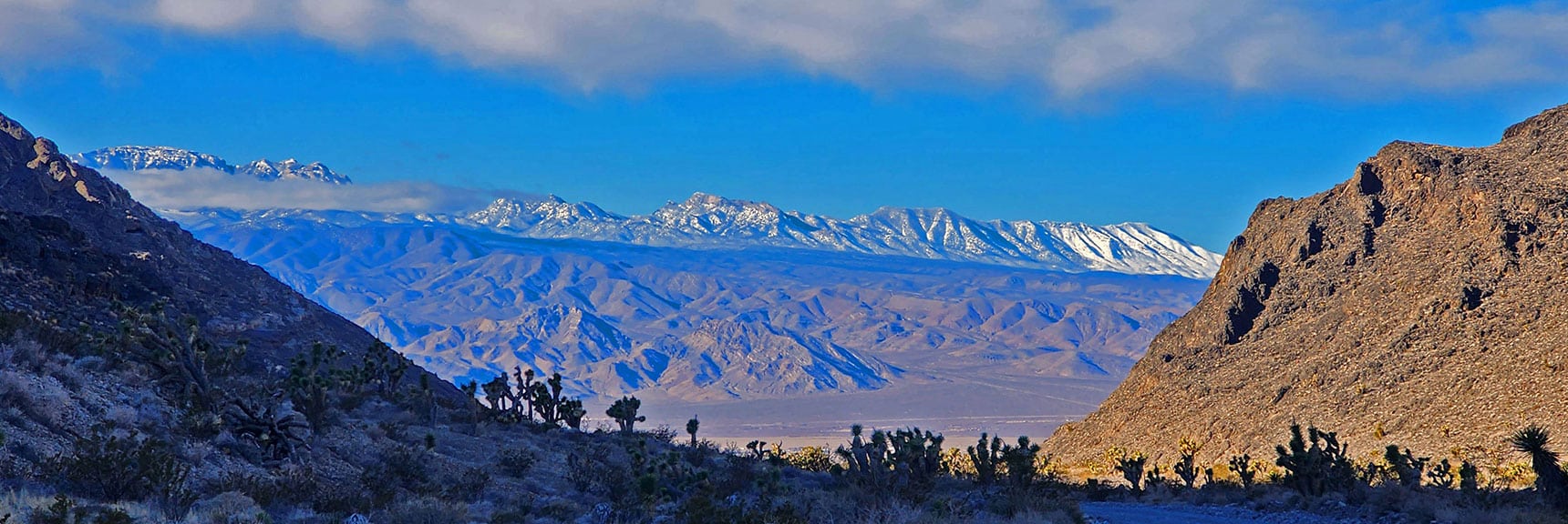 View Back Through Yucca Gap Toward Mt. Charleston Wilderness | Fossil Ridge Far East | Desert National Wildlife Refuge, Nevada