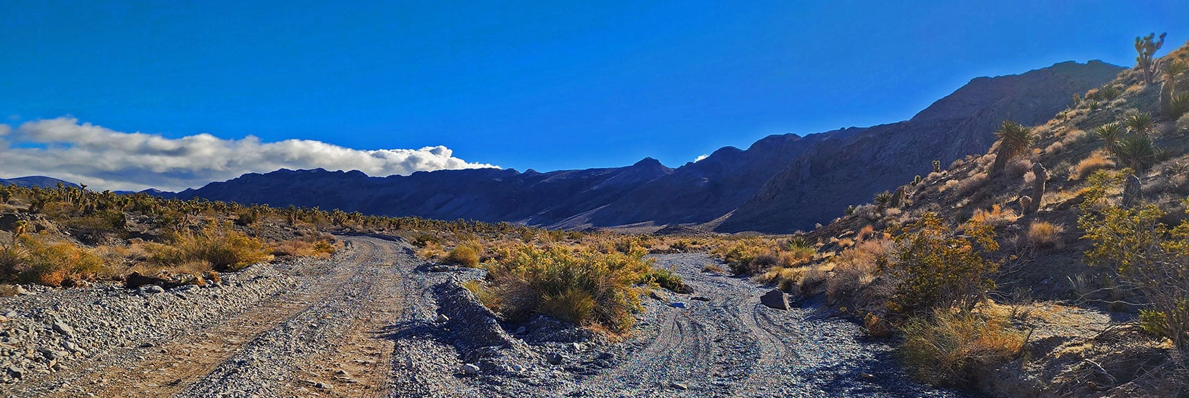 Take a Right Off Mormon Well Road, Round Fossil Ridge Toward Eastern Ridge Areaa | Fossil Ridge Far East | Desert National Wildlife Refuge, Nevada