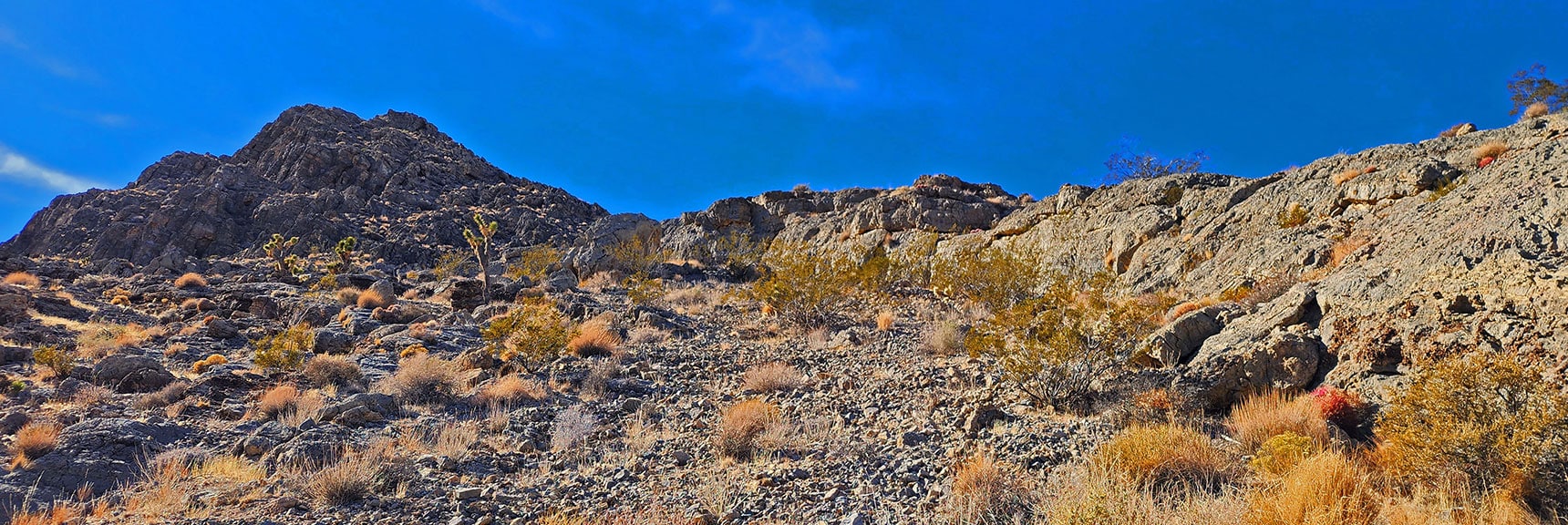 Approaching High Summit of Fossil Ridge East | Fossil Ridge Far East | Desert National Wildlife Refuge, Nevada