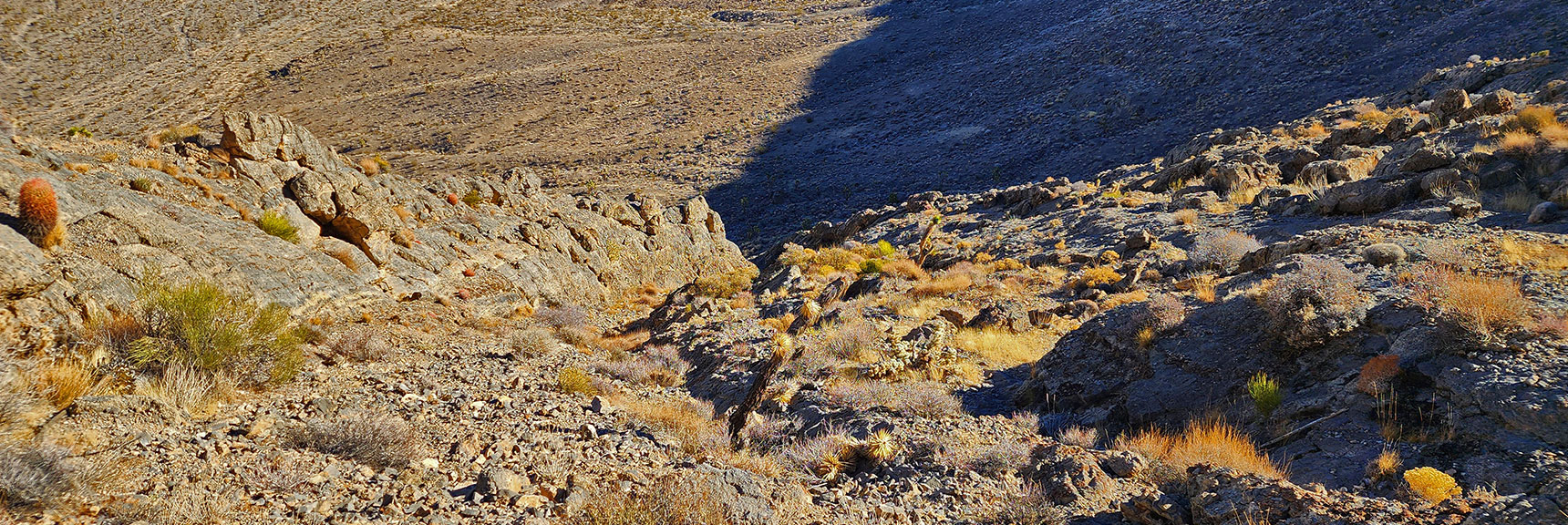 View Back Down the Gully Just Ascended | Fossil Ridge Far East | Desert National Wildlife Refuge, Nevada