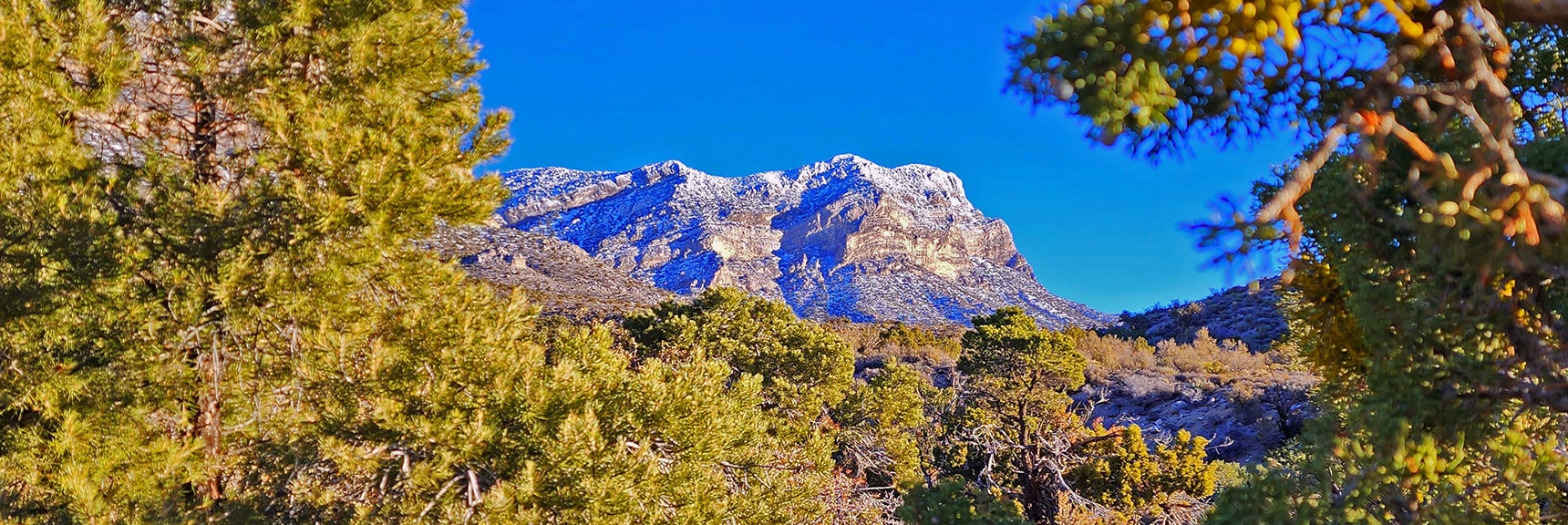 El Padre Mountain Through Opening in Pine Forest, NE Side of White Rock Mt. | White Rock Mountain Loop Trail | Red Rock Canyon, Nevada