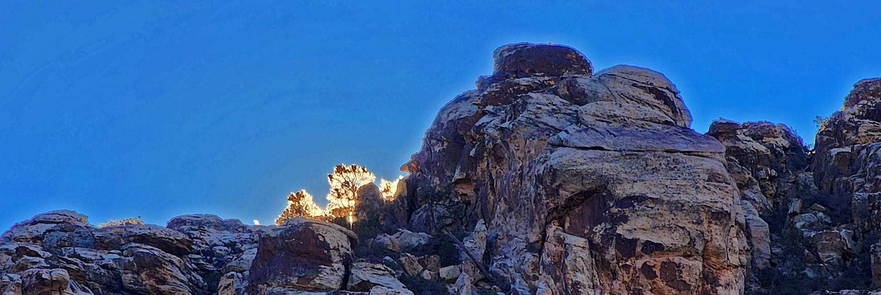 Pine Tree Sunrise Silhouette on White Rock Mountain Summit Line | White Rock Mountain Loop Trail | Red Rock Canyon, Nevada