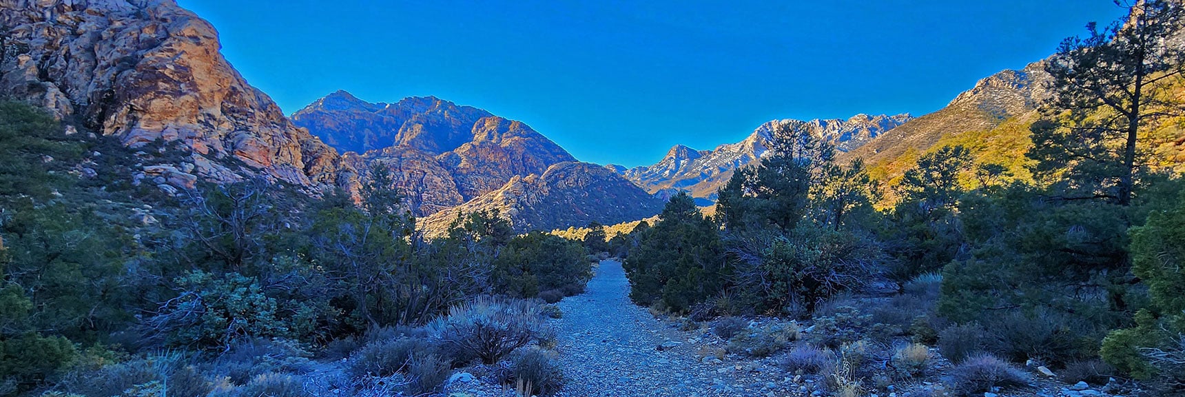 Three Great Wilderness Areas: Red Rock Canyon, La Madre & Rainbow Mountain Wilderness | White Rock Mountain Loop Trail | Red Rock Canyon, Nevada