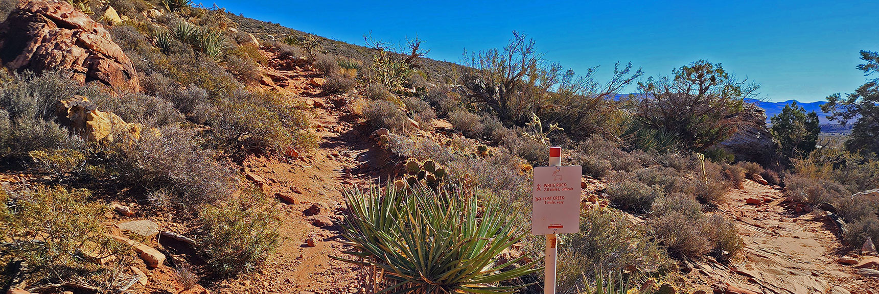 "White Rock" Sign is Only Indicator White Rock Mountain Loop Trail Turns Here | White Rock Mountain Loop Trail | Red Rock Canyon, Nevada