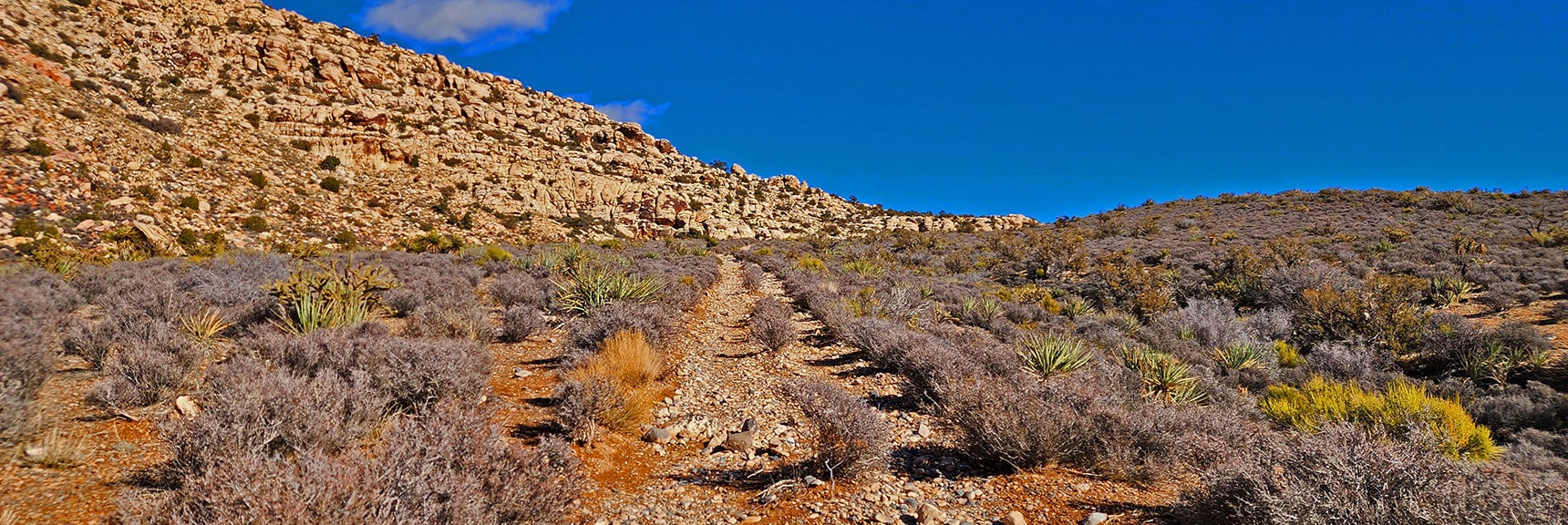 Trail Looks Like an Old Road, Like Many Trails in Red Rock Canyon | White Rock Mountain Loop Trail | Red Rock Canyon, Nevada