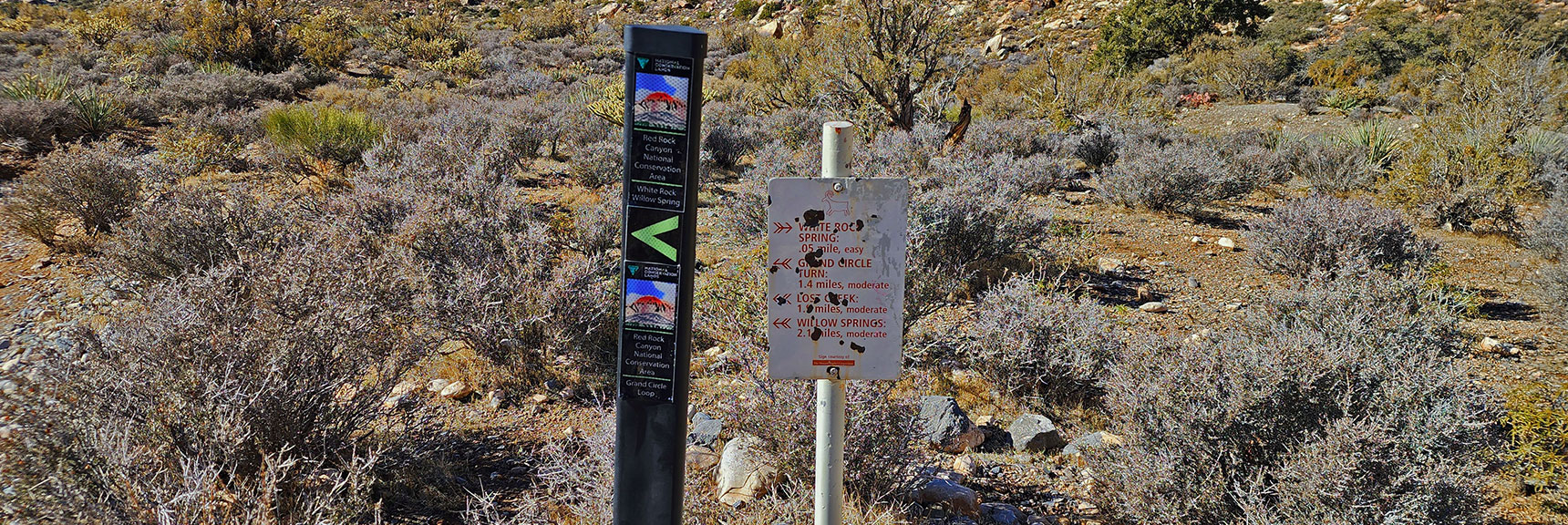 Discovery of White Rock Spring, Short 25-Yard Detour Off Loop Trail | White Rock Mountain Loop Trail | Red Rock Canyon, Nevada