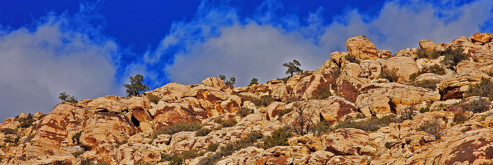 Southeast Summit Area Lit Up by Full Sun | White Rock Mountain Loop Trail | Red Rock Canyon, Nevada