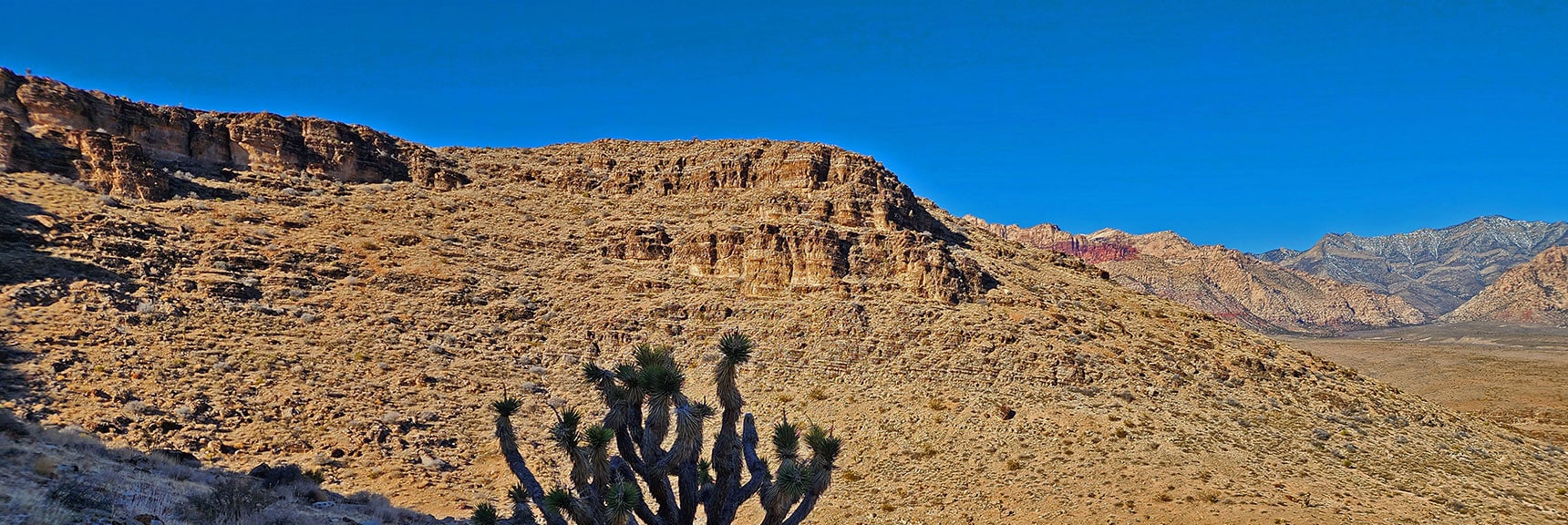 Bone Shaker Trail Ridge Viewed Across Skull Canyon | Eastern Outer Circuit | Blue Diamond Hill | Red Rock Canyon, Nevada