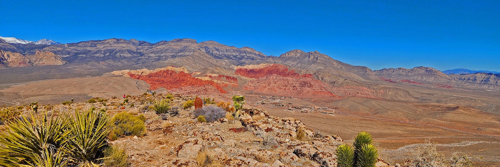 View Back to Calico Hills, Calico Basin and La Madre Mt Cliffs | Eastern Outer Circuit | Blue Diamond Hill | Red Rock Canyon, Nevada
