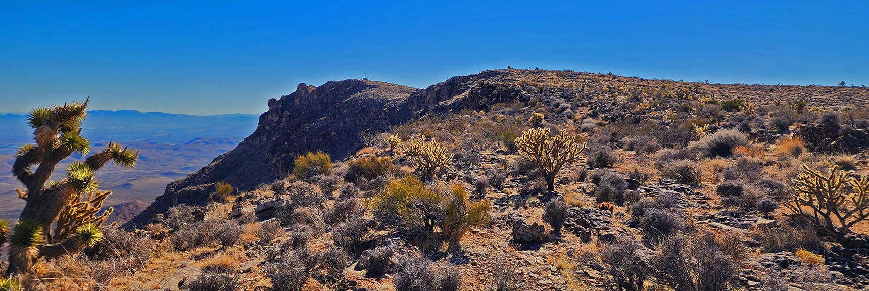Upper Desert Garden View South Along Eastern Ridgeline | Eastern Outer Circuit | Blue Diamond Hill | Red Rock Canyon, Nevada