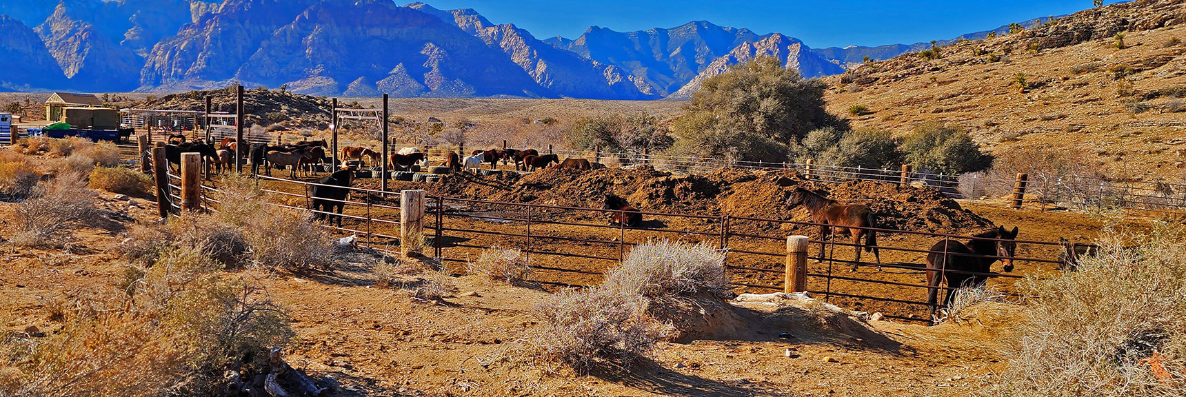 Back at Trailhead and Cowboy Trail Rides Corral. | Eastern Outer Circuit | Blue Diamond Hill | Red Rock Canyon, Nevada