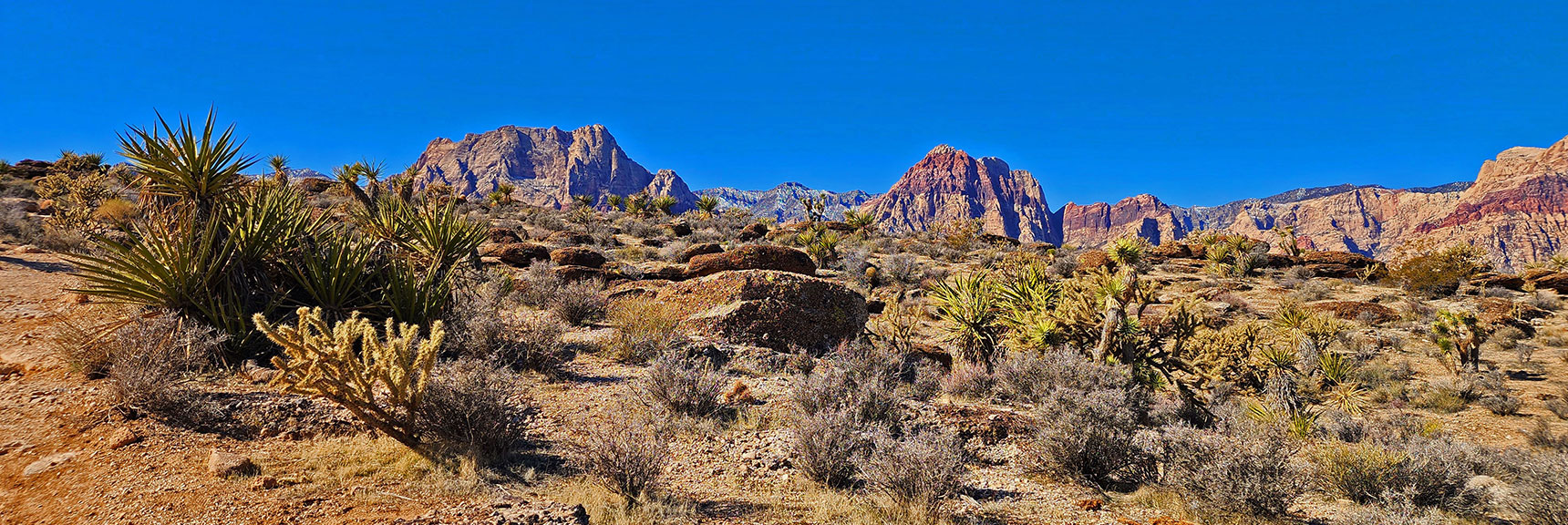 Crossing Through Desert Gardens to Bunny Trail, Rainbow Mts. Backdrop | Western Trails and Ridges | Blue Diamond Hill | Red Rock Canyon, Nevada