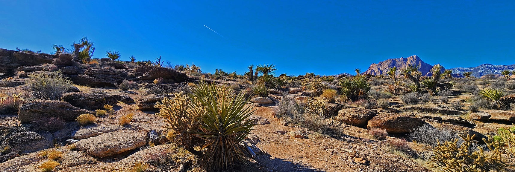 Connection with the Bunny Trail on West Side of Blue Diamond Hill | Western Trails and Ridges | Blue Diamond Hill | Red Rock Canyon, Nevada