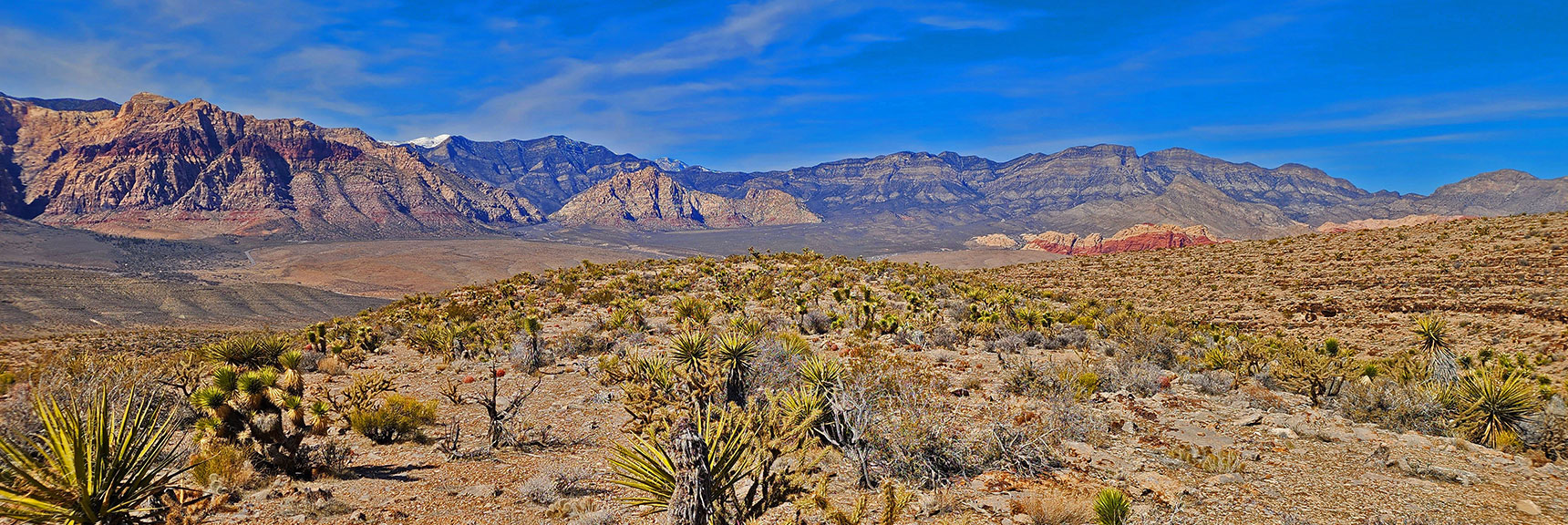 View Down First Finger Ridge Toward Red Rock Canyon and Beyond. | Western Trails and Ridges | Blue Diamond Hill | Red Rock Canyon, Nevada