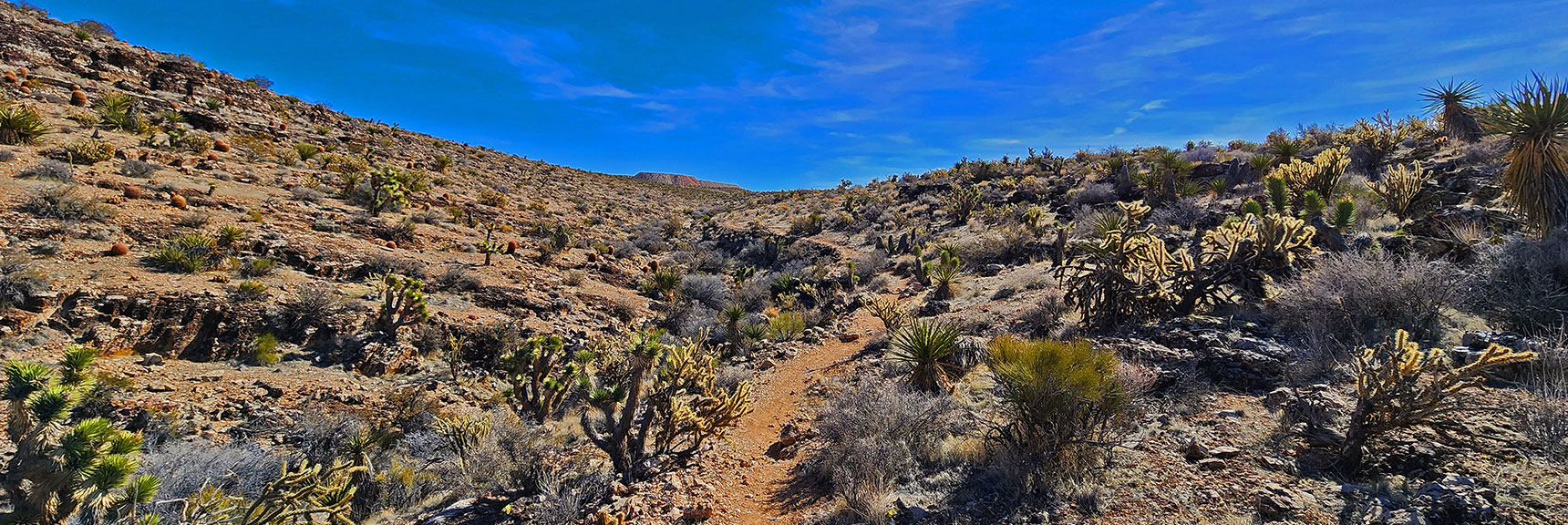 Circling Around East Side of First Finger Ridge Toward Second Finger Ridge | Western Trails and Ridges | Blue Diamond Hill | Red Rock Canyon, Nevada