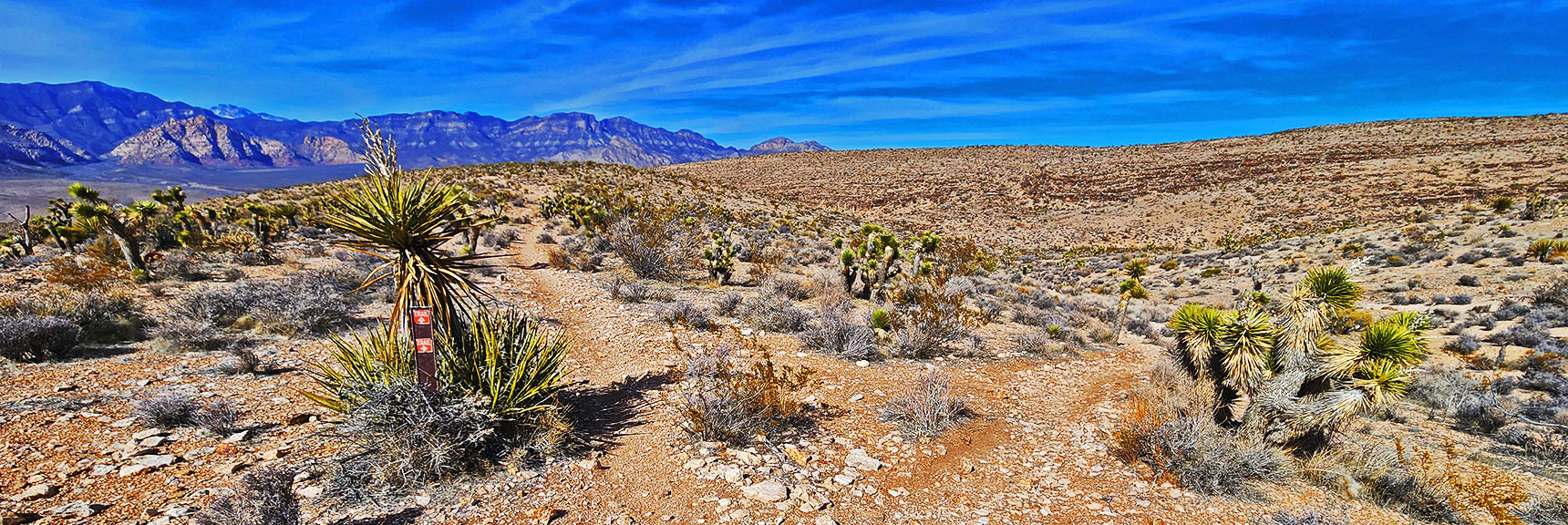 Southern Beginning of Second Finger Loop | Western Trails and Ridges | Blue Diamond Hill | Red Rock Canyon, Nevada