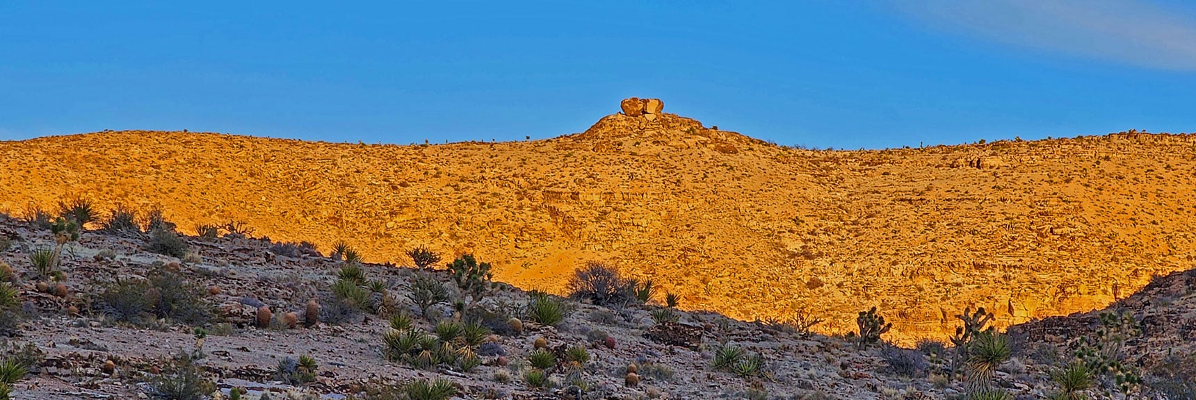 Rocky Bluff Where Muffin & Bomb Voyage Trails Summit Blue Diamond Hill East Ridge | Western Trails and Ridges | Blue Diamond Hill | Red Rock Canyon, Nevada