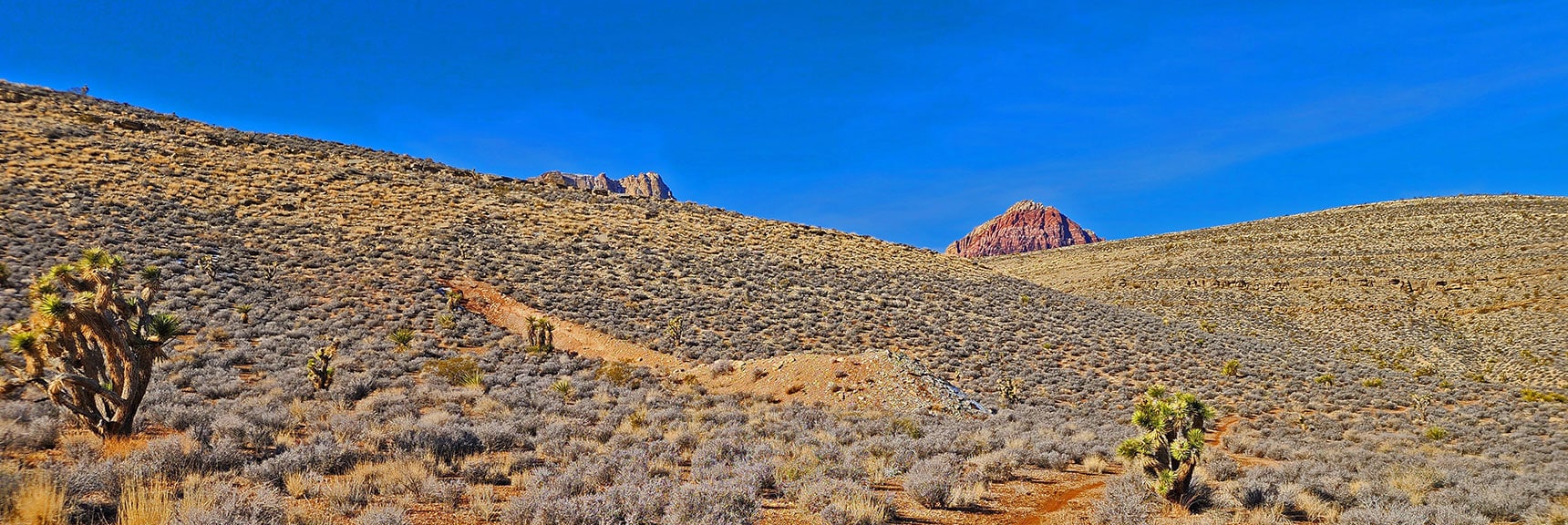 Ascended Here to the Center of the High Ridgeline West of Blue Diamond Hill | Western Outer Circuit | Blue Diamond Hill | Red Rock Canyon, Nevada
