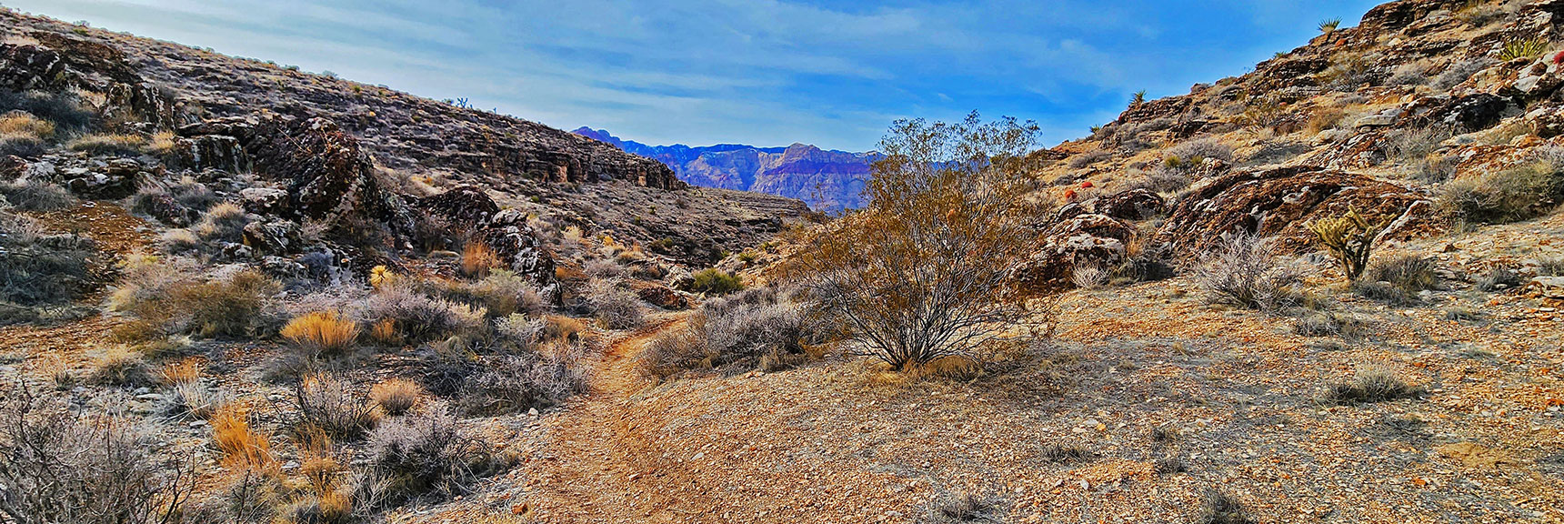 After Traversing Overlook Ridge, Now Descending into Skull Canyon | Western Outer Circuit | Blue Diamond Hill | Red Rock Canyon, Nevada