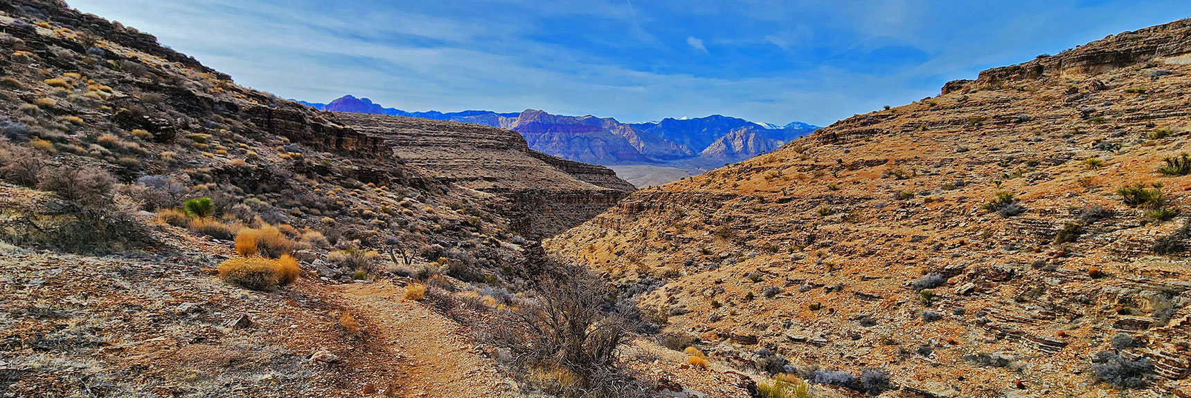 Descending Skull Canyon on the Bob Gnarly Trail | Western Outer Circuit | Blue Diamond Hill | Red Rock Canyon, Nevada