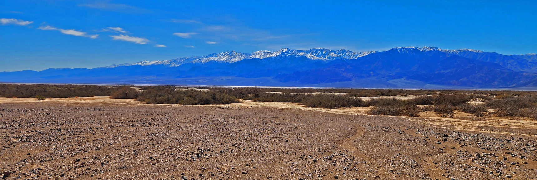 Mesquite Grove Viewed from Badwater Road North of Golden Canyon Entrance | Mesquite Grove | Death Valley, California | David Smith | Las Vegas Area Trails