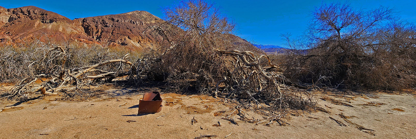 Historical Artifacts Lie Hidden in the Neglected Mesquite Grove | Mesquite Grove | Death Valley, California | David Smith | Las Vegas Area Trails