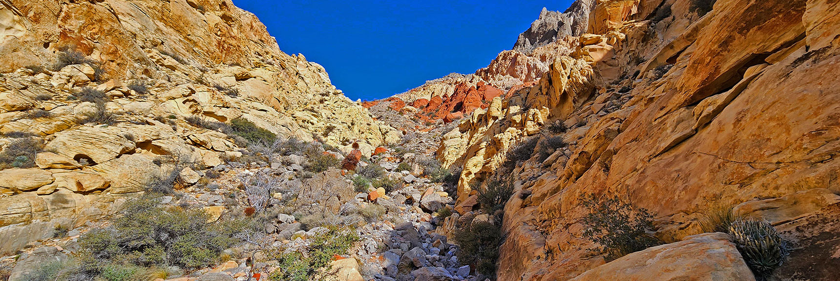 A Faint Trail Will Soon Appear Along the Base of the Canyon Walls to the Right | Ash Canyon to Calico Tanks | Calico Basin and Red Rock Canyon, Nevada | David Smith | Las Vegas Area Trails