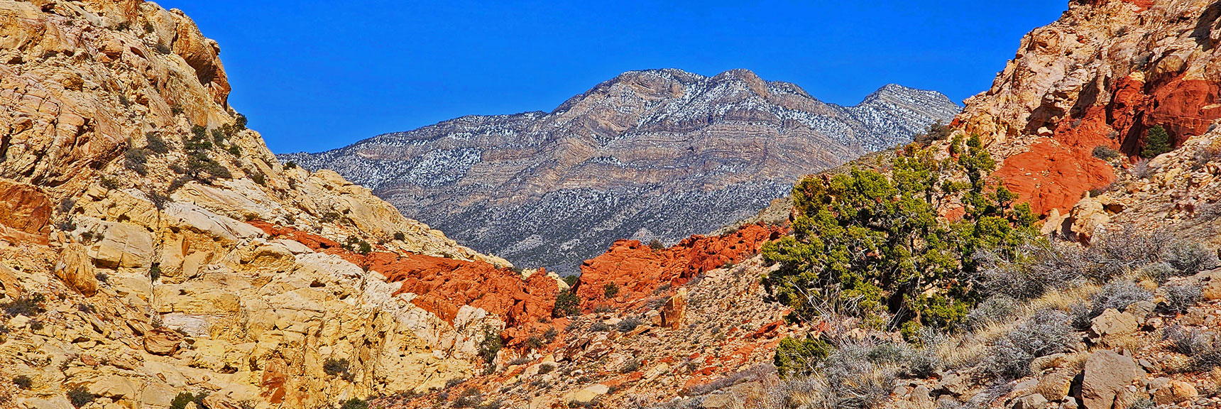 El Bastardo Mt. Appears on the Distant Keystone Thrust Cliffs. | Ash Canyon to Calico Tanks | Calico Basin and Red Rock Canyon, Nevada | David Smith | Las Vegas Area Trails