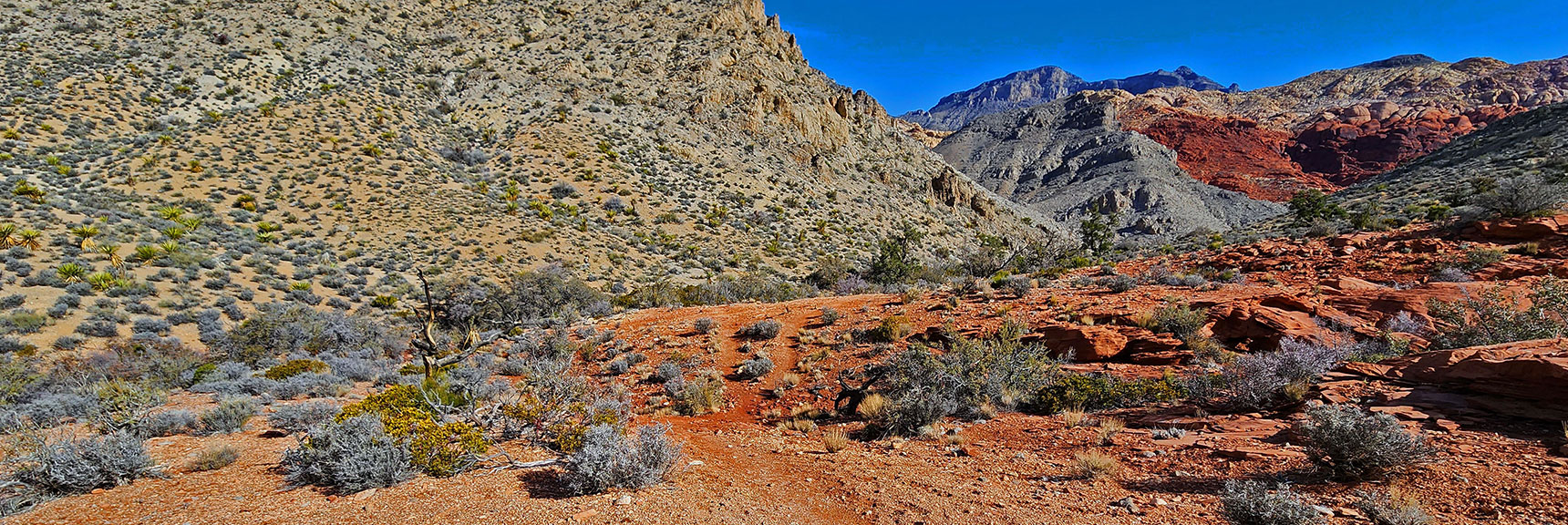 Intersection of the Ash Canyon and Rattlesnake Trails Ahead. Take a Left Toward Calico Tanks. | Ash Canyon to Calico Tanks | Calico Basin and Red Rock Canyon, Nevada | David Smith | Las Vegas Area Trails