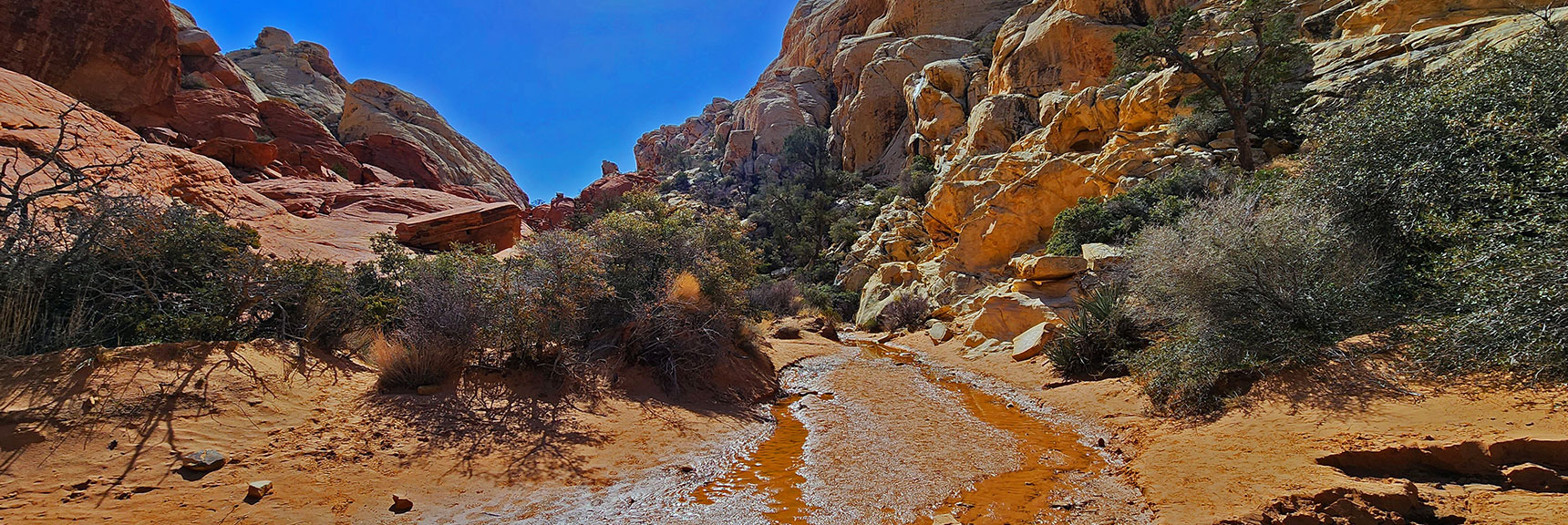 Now Ascending the Calico Tanks Trail. Late March. Lots of Flowing Water. | Ash Canyon to Calico Tanks | Calico Basin and Red Rock Canyon, Nevada | David Smith | Las Vegas Area Trails