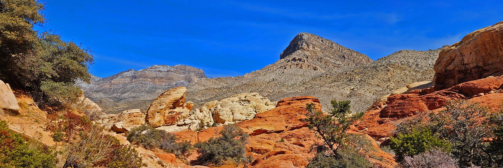 Iconic View of Turtlehead Peak Down the Calico Tanks Trail. | Ash Canyon to Calico Tanks | Calico Basin and Red Rock Canyon, Nevada | David Smith | Las Vegas Area Trails