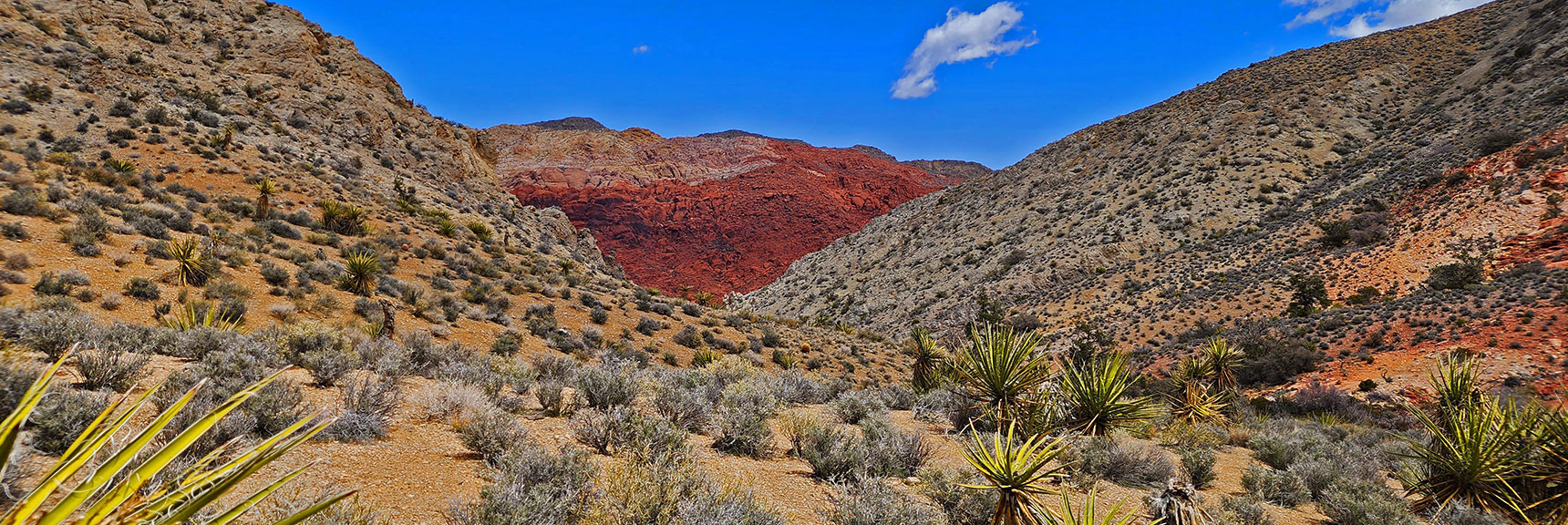 View Down the Descent Canyon Toward Gateway Canyon in Calico Basin | Ash Canyon to Calico Tanks | Calico Basin and Red Rock Canyon, Nevada | David Smith | Las Vegas Area Trails
