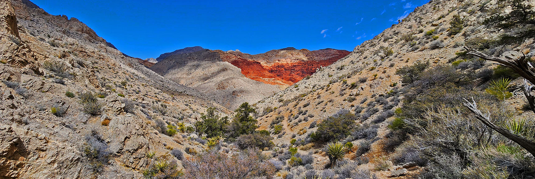 Another View Down the Rattlesnake Trail Toward Gateway Canyon in Calico Basin | Ash Canyon to Calico Tanks | Calico Basin and Red Rock Canyon, Nevada | David Smith | Las Vegas Area Trails
