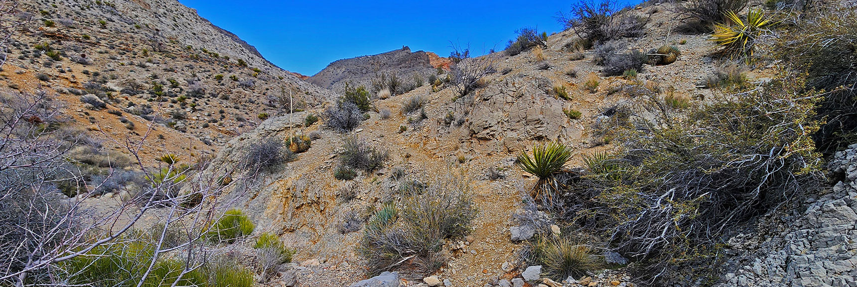 Right Turn to Skirt the Upper Ridgeline to Pink Goblin Pass Without Descending To Gateway Canyon | Ash Canyon to Calico Tanks | Calico Basin and Red Rock Canyon, Nevada | David Smith | Las Vegas Area Trails