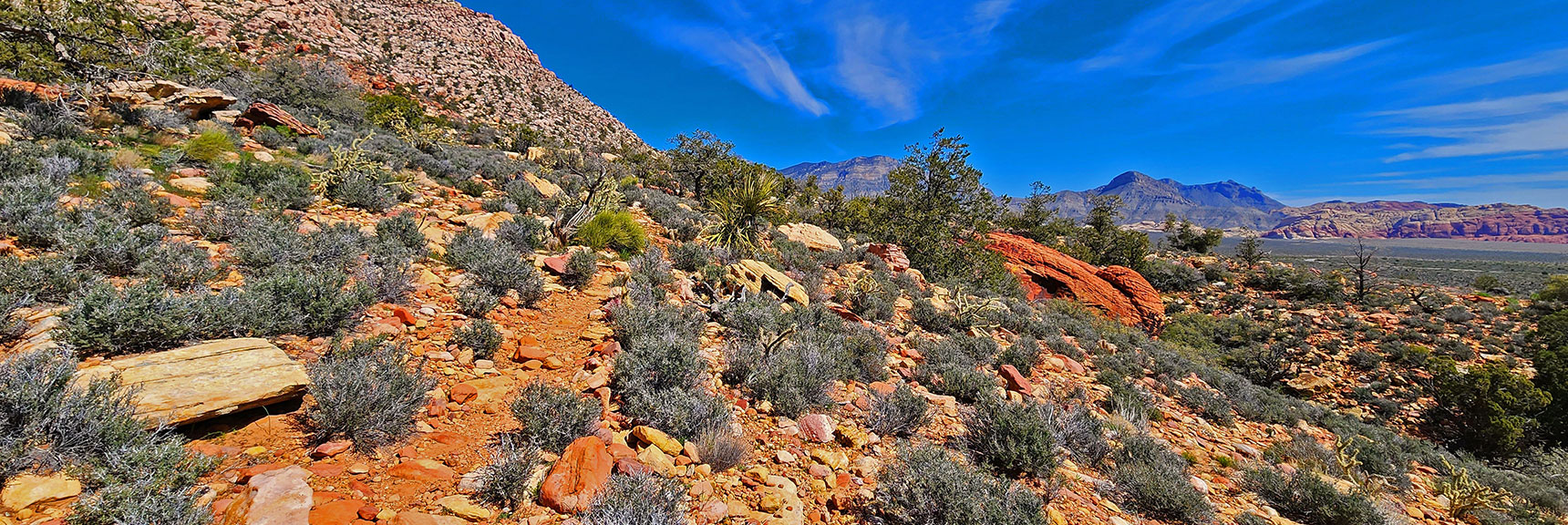 Continuing North on Dales Trail. Red Rock Reflects Composition of Bridge Mt. Above | Dales Trail | Red Rock Canyon National Conservation Area, Nevada | David Smith | LasVegasAreaTrails.com