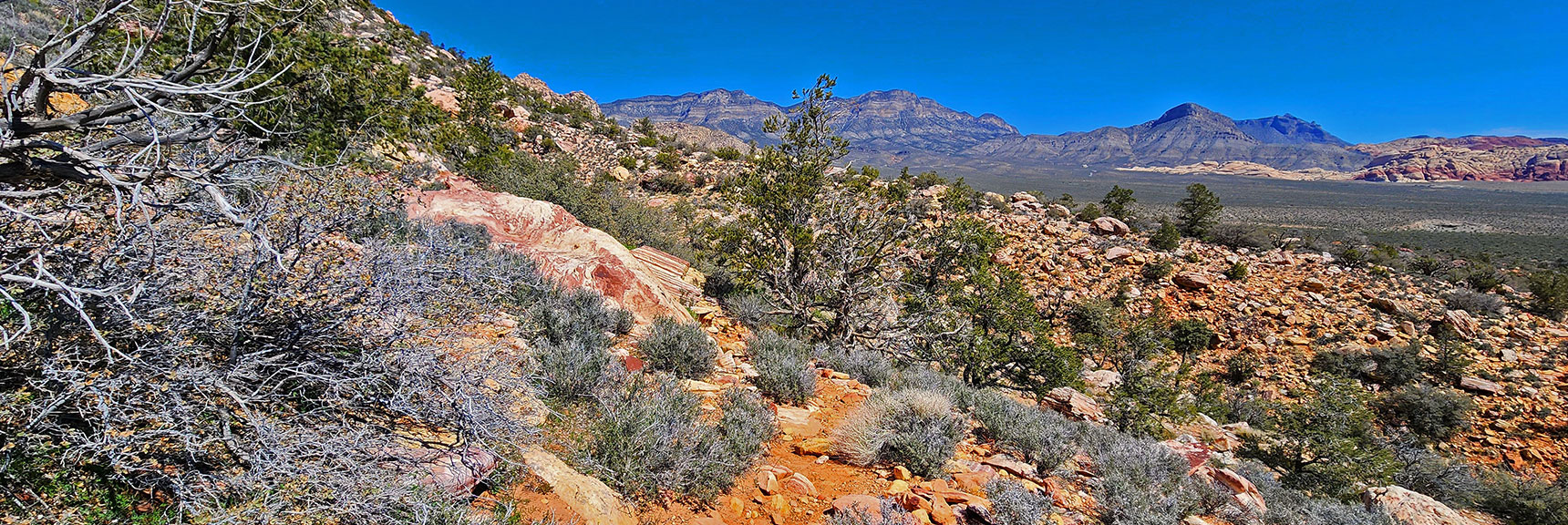Rugged Arid Terrain; Sweeping Views Below the Entire Way | Dales Trail | Red Rock Canyon National Conservation Area, Nevada | David Smith | LasVegasAreaTrails.com