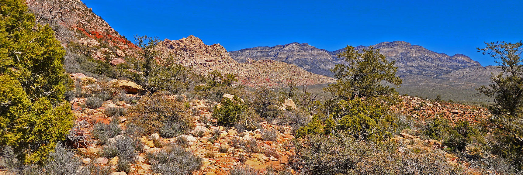 White Rock Mt. Now In View; La Madre Mt. Cliffs to Right | Dales Trail | Red Rock Canyon National Conservation Area, Nevada | David Smith | LasVegasAreaTrails.com