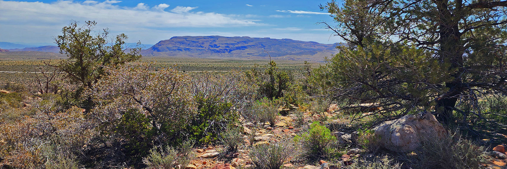 View South to Blue Diamond Hill | Dales Trail | Red Rock Canyon National Conservation Area, Nevada | David Smith | LasVegasAreaTrails.com