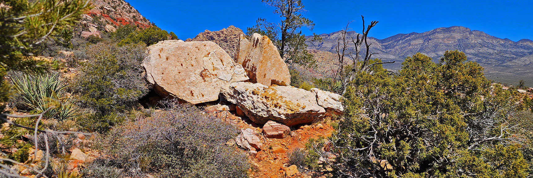 Many Artistic Boulders Line Dales Trail. These All Fell from Bridge Mt. Cliffs Above | Dales Trail | Red Rock Canyon National Conservation Area, Nevada | David Smith | LasVegasAreaTrails.com