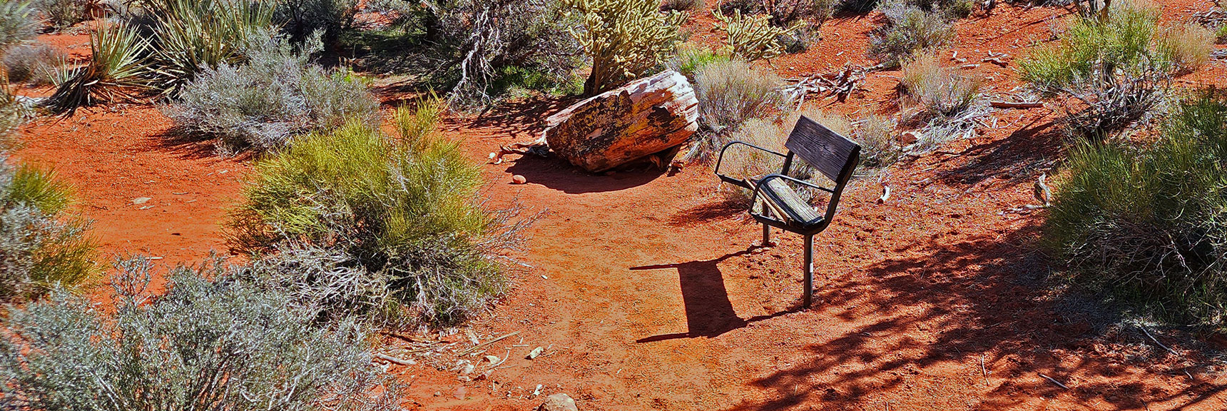 Lonely Forgotten Bench By the Trail. This Trail Seems Longer Than the Other Eastern Baseline Trails | Dales Trail | Red Rock Canyon National Conservation Area, Nevada | David Smith | LasVegasAreaTrails.com