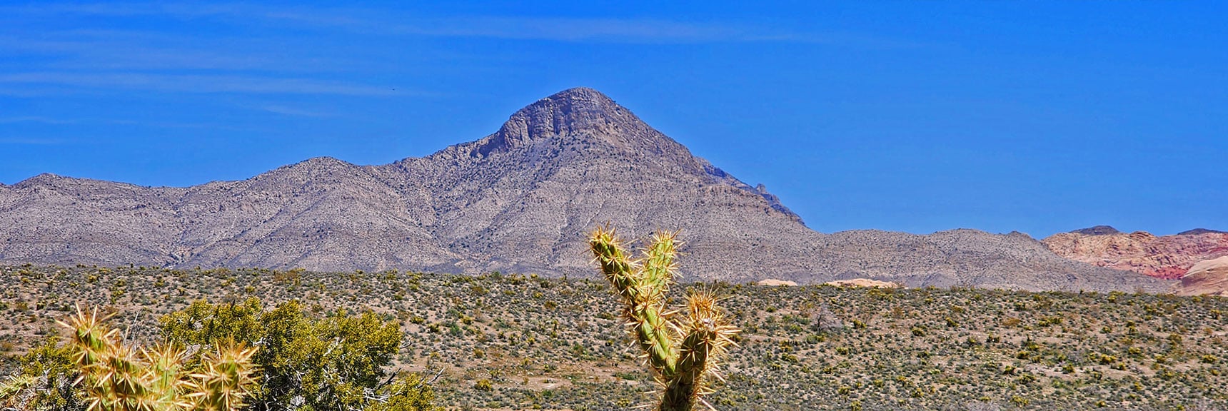 Turtlehead Peak Across Red Rock Canyon | Dales Trail | Red Rock Canyon National Conservation Area, Nevada | David Smith | LasVegasAreaTrails.com