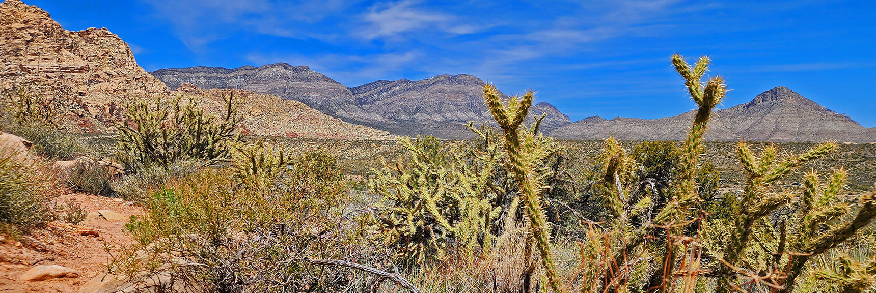 La Madre Mountains Cliffs; Turtlehead Peak | Dales Trail | Red Rock Canyon National Conservation Area, Nevada | David Smith | LasVegasAreaTrails.com