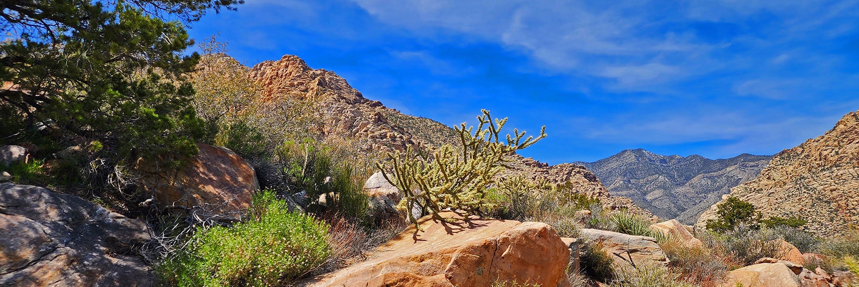 Many Artistic Viewpoints Along the Way if You Take Time to Find Them | Dales Trail | Red Rock Canyon National Conservation Area, Nevada | David Smith | LasVegasAreaTrails.com