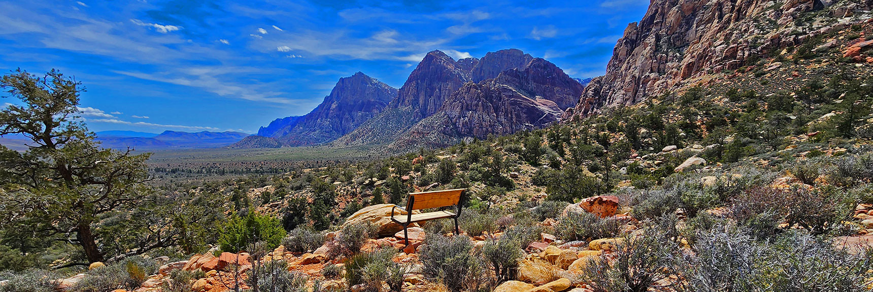 View Across Pine Creek Canyon to Juniper Peak, Rainbow Mountain and Mt. Wilson | Dales Trail | Red Rock Canyon National Conservation Area, Nevada | David Smith | LasVegasAreaTrails.com