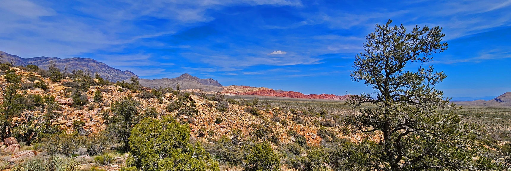 View Northeast Toward La Madre Cliffs, Turtlehead Peak and Calico Hills | Dales Trail | Red Rock Canyon National Conservation Area, Nevada | David Smith | LasVegasAreaTrails.com