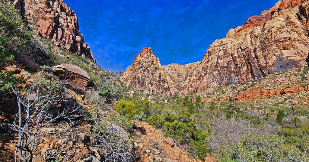 Knoll Trail | Red Rock Canyon, Nevada | David Smith | LasVegasAreaTrails.com