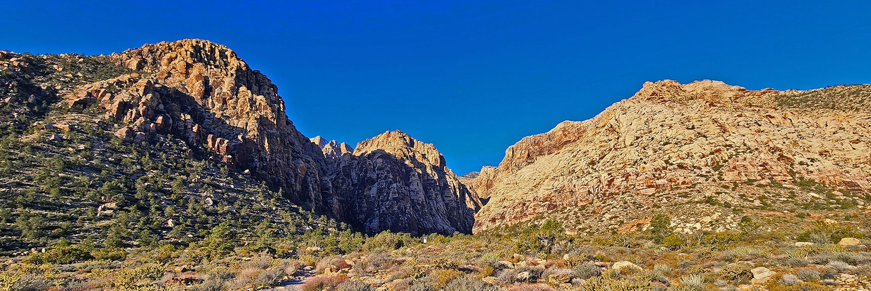 View of Ice Box Canyon At Summit of Stairway | Ice Box Canyon | Red Rock Canyon NCA, Nevada | Las Vegas Area Trails | David Smith