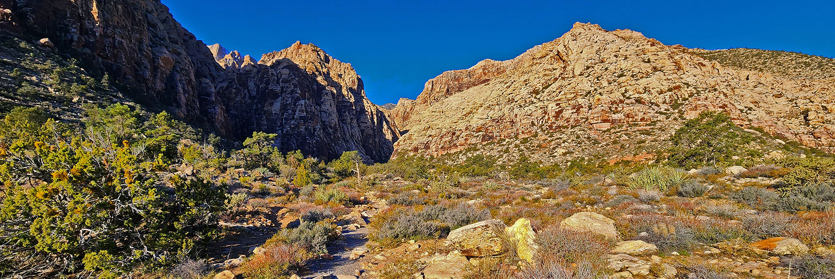 Approach Trail Becoming Rocky, Entering Forest Near Canyon Opening | Ice Box Canyon | Red Rock Canyon NCA, Nevada | Las Vegas Area Trails | David Smith