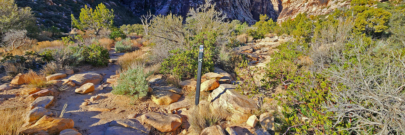 Good Signage Gets You To the Canyon Opening. After That You're On Your Own. | Ice Box Canyon | Red Rock Canyon NCA, Nevada | Las Vegas Area Trails | David Smith