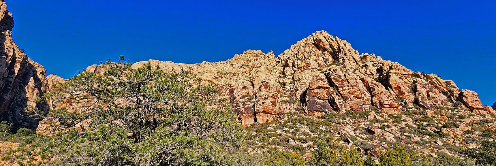 Towering Cliffs on North Side of Canyon Opening | Ice Box Canyon | Red Rock Canyon NCA, Nevada | Las Vegas Area Trails | David Smith